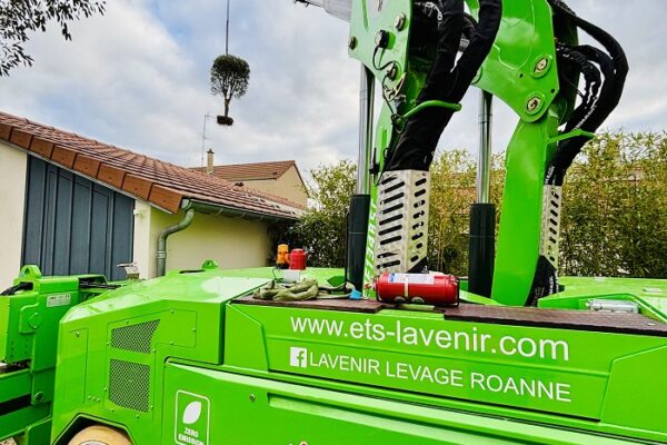 Mini-Grue_Mobile_Electrique_Jmg_50000Re_50T_Lavenir_Location_Levage_Manutention_Demenagements_IndustrielsE